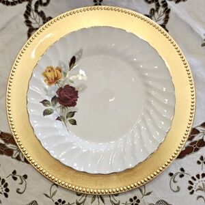 Gorgeous Set of 4 dinner plates by Myott.